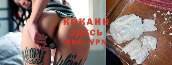 гашик Алексин