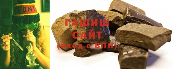 гашик Алексин