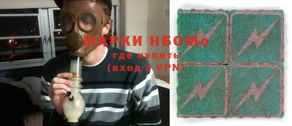 гашик Алексин