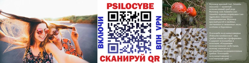 закладки  Кола  Галлюциногенные грибы мухоморы 